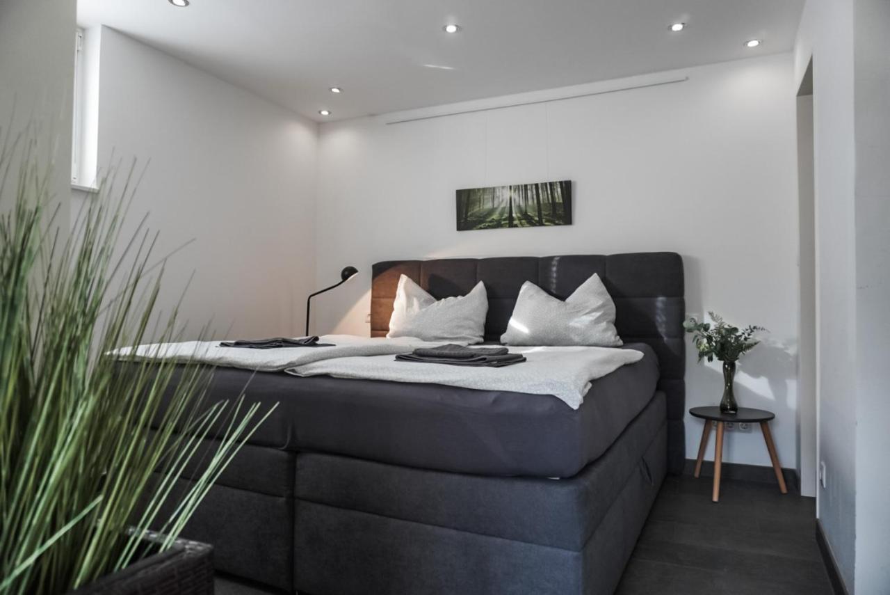 Neu Gebautes Apartment Mit Sonnenterasse In Der Naehe Vom Siebengebirge & Bonn Koenigswinter Luaran gambar